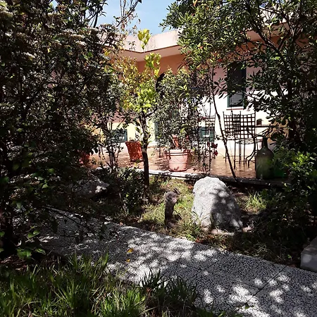 Archegeta 3*
